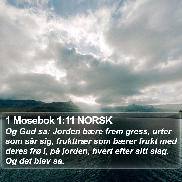 1 Mosebok 1:11 NORSK Bible Study