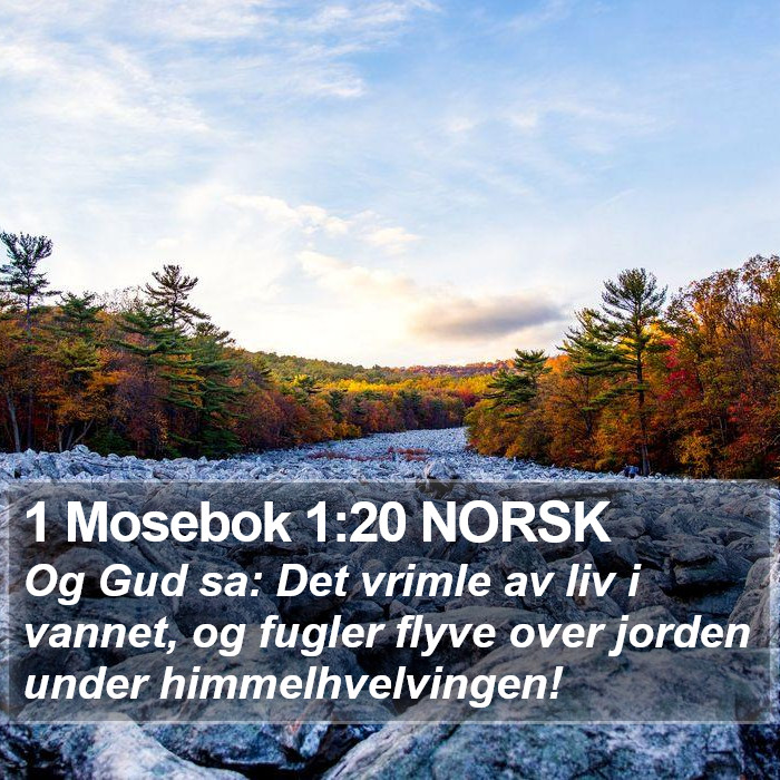 1 Mosebok 1:20 NORSK Bible Study