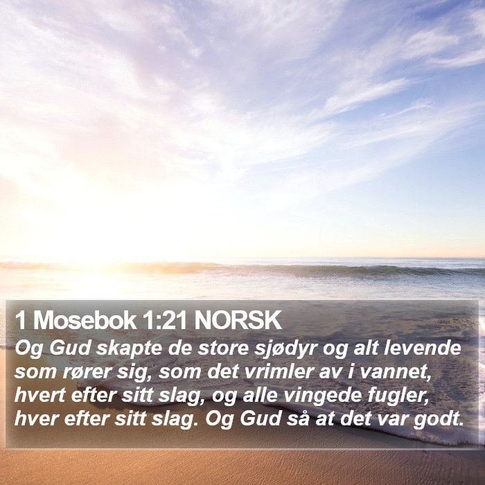 1 Mosebok 1:21 NORSK Bible Study