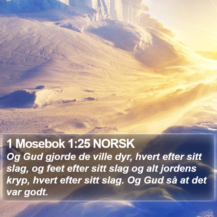 1 Mosebok 1:25 NORSK Bible Study