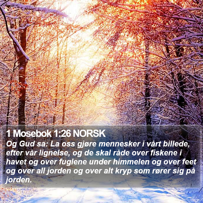 1 Mosebok 1:26 NORSK Bible Study