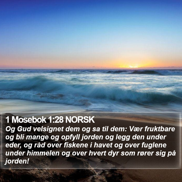 1 Mosebok 1:28 NORSK Bible Study