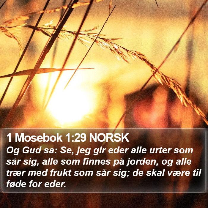 1 Mosebok 1:29 NORSK Bible Study