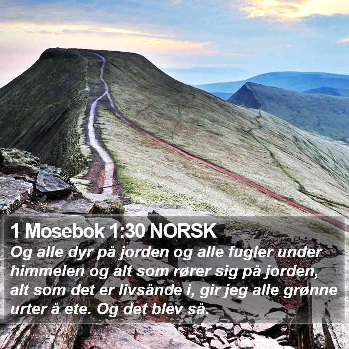 1 Mosebok 1:30 NORSK Bible Study