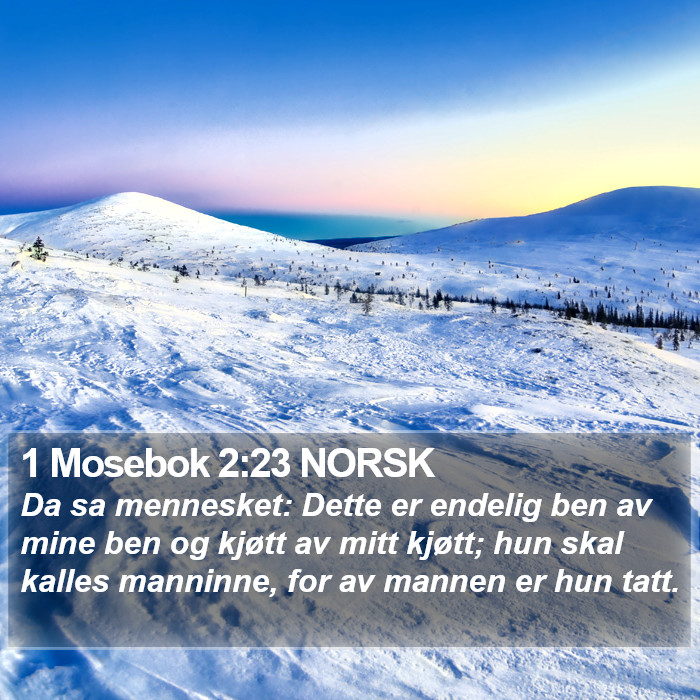 1 Mosebok 2:23 NORSK Bible Study