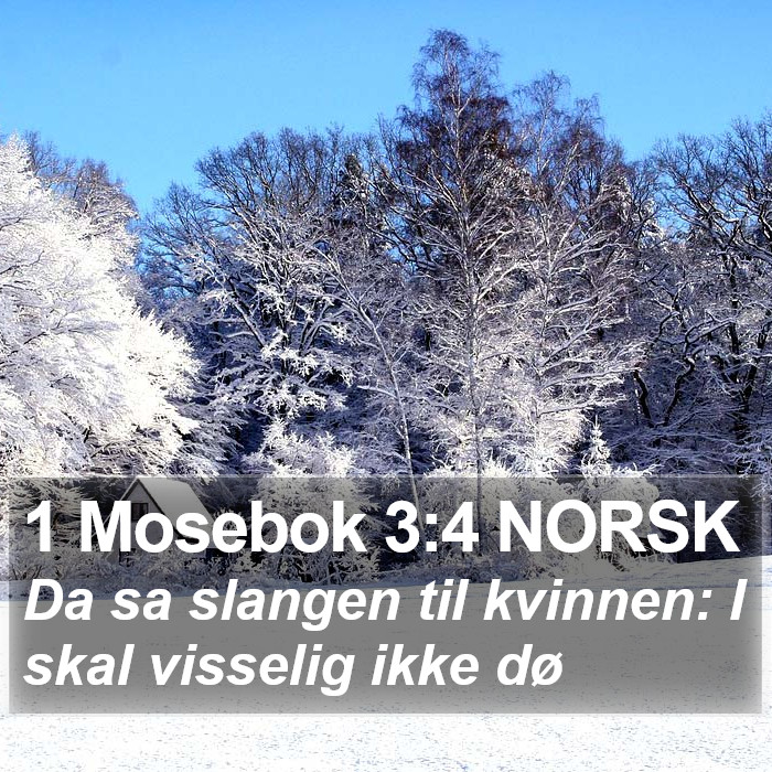 1 Mosebok 3:4 NORSK Bible Study