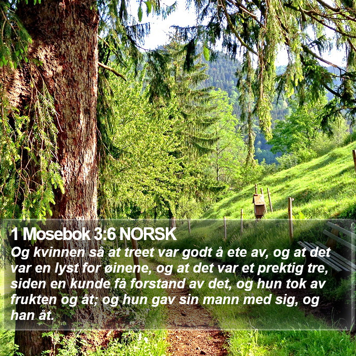1 Mosebok 3:6 NORSK Bible Study