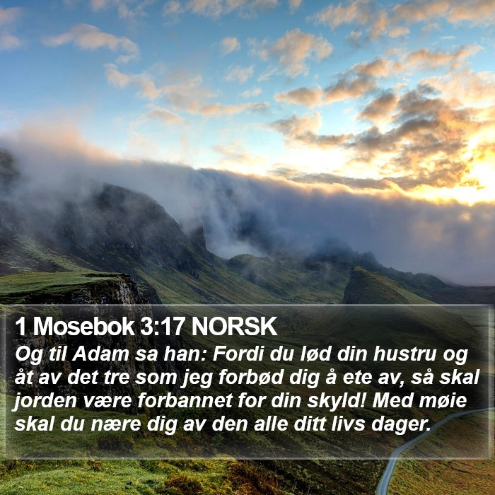 1 Mosebok 3:17 NORSK Bible Study