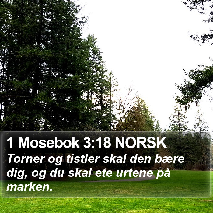 1 Mosebok 3:18 NORSK Bible Study