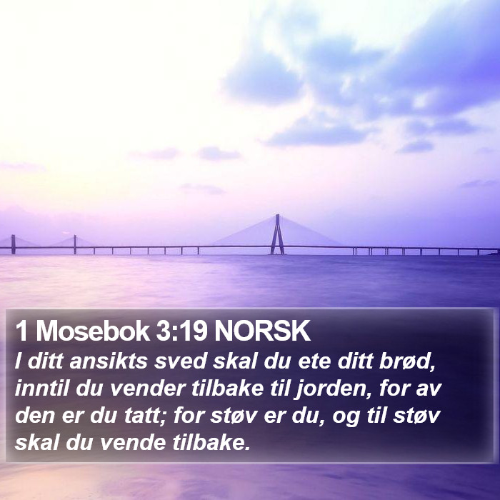 1 Mosebok 3:19 NORSK Bible Study