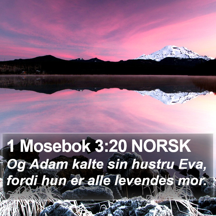 1 Mosebok 3:20 NORSK Bible Study