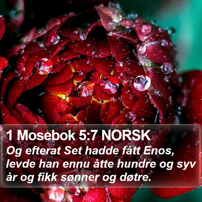 1 Mosebok 5:7 NORSK Bible Study