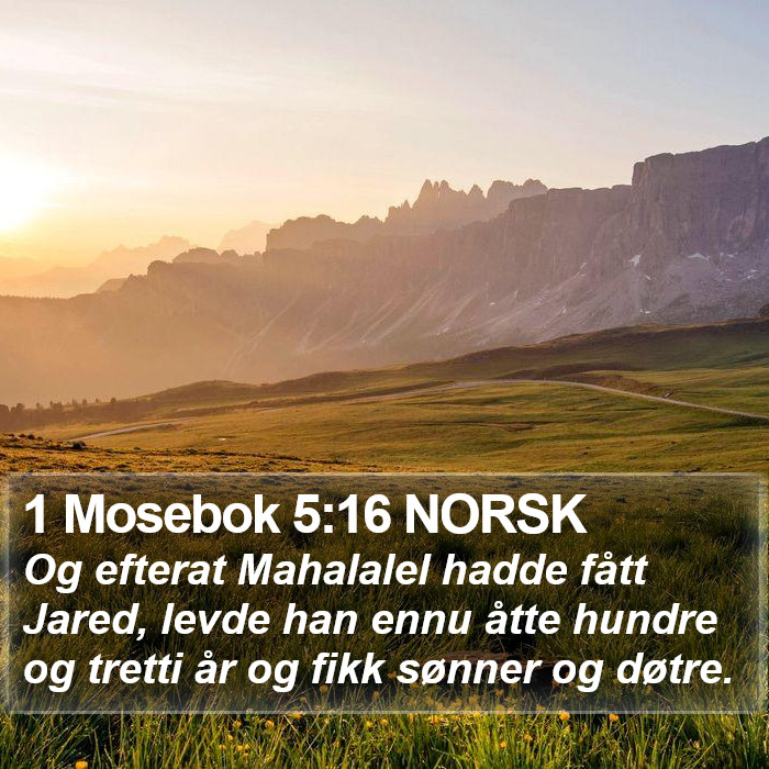 1 Mosebok 5:16 NORSK Bible Study