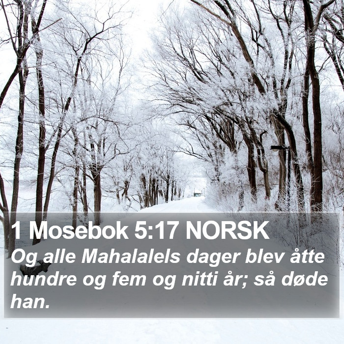 1 Mosebok 5:17 NORSK Bible Study