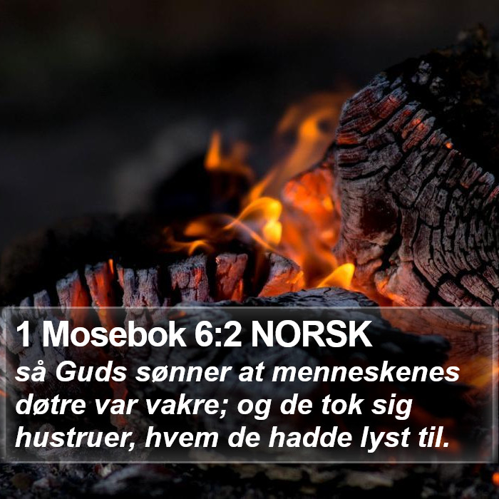 1 Mosebok 6:2 NORSK Bible Study