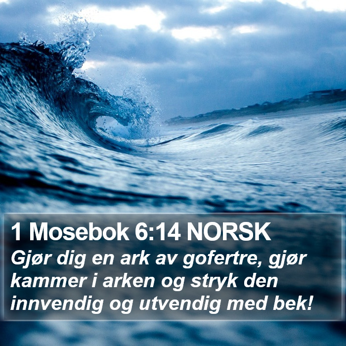 1 Mosebok 6:14 NORSK Bible Study