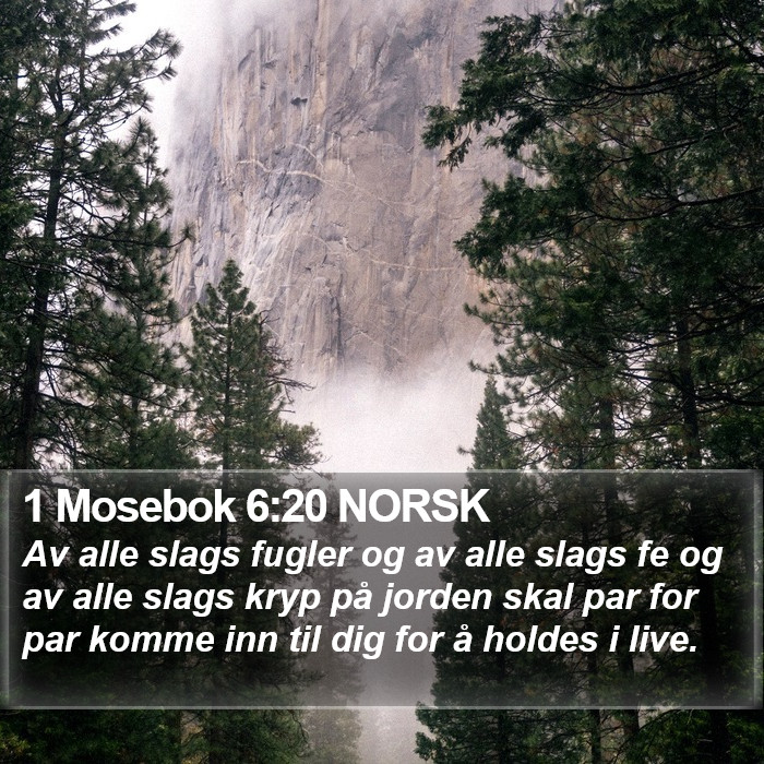 1 Mosebok 6:20 NORSK Bible Study