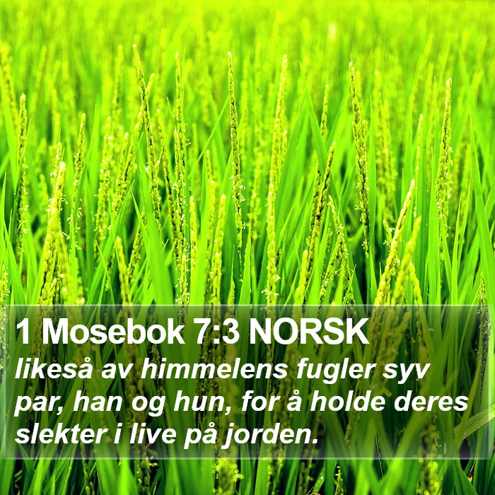 1 Mosebok 7:3 NORSK Bible Study