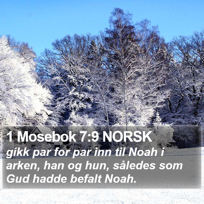 1 Mosebok 7:9 NORSK Bible Study