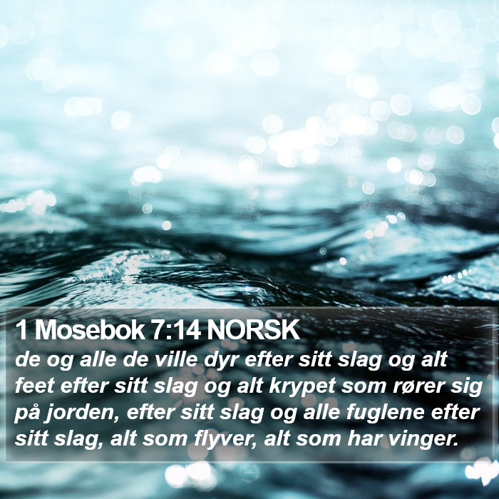 1 Mosebok 7:14 NORSK Bible Study