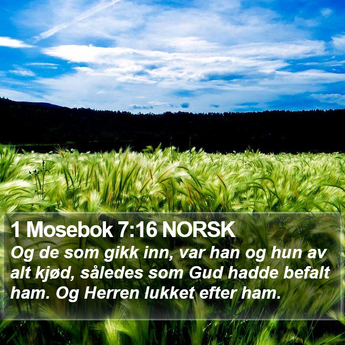 1 Mosebok 7:16 NORSK Bible Study