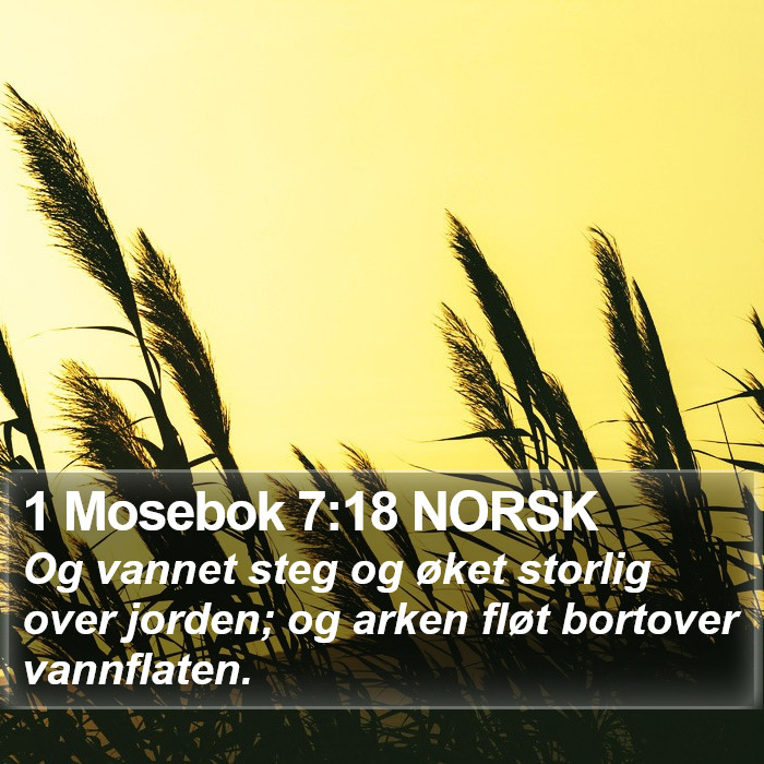 1 Mosebok 7:18 NORSK Bible Study