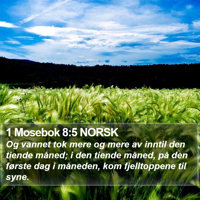 1 Mosebok 8:5 NORSK Bible Study