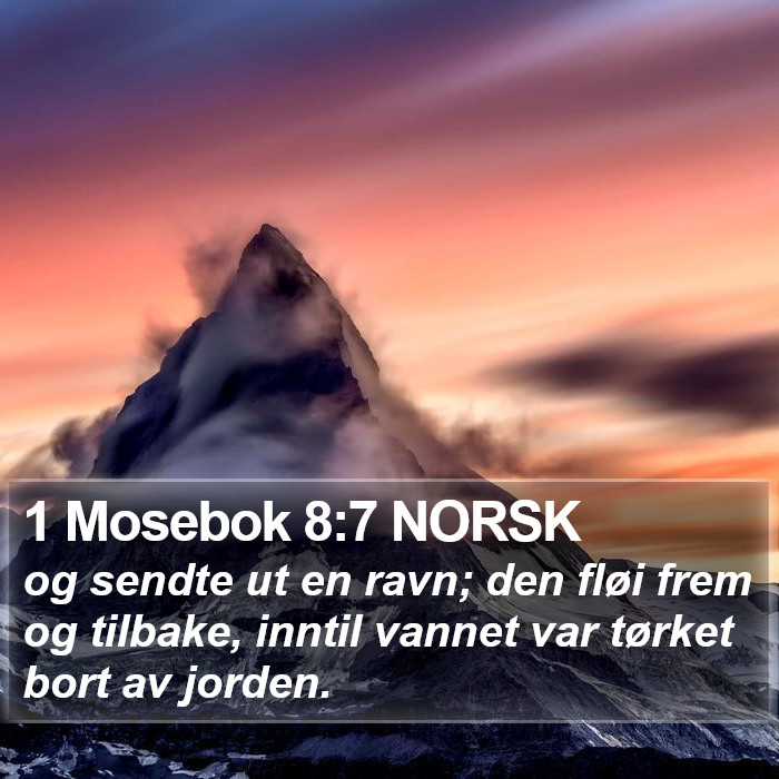 1 Mosebok 8:7 NORSK Bible Study