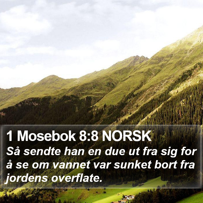 1 Mosebok 8:8 NORSK Bible Study