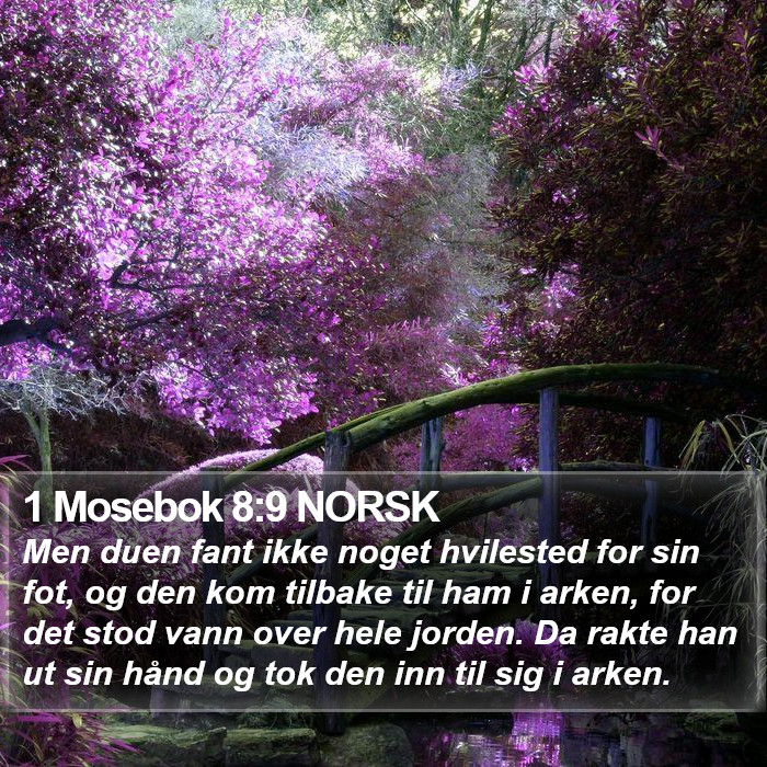 1 Mosebok 8:9 NORSK Bible Study