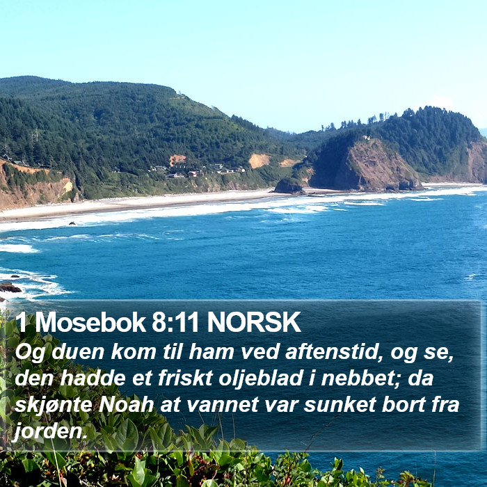 1 Mosebok 8:11 NORSK Bible Study