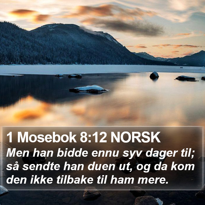 1 Mosebok 8:12 NORSK Bible Study