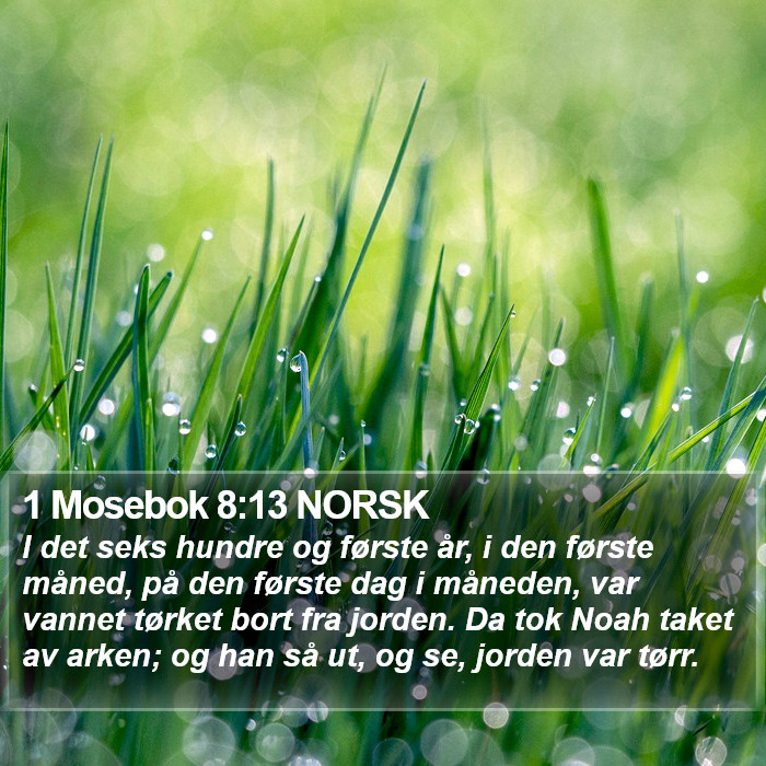 1 Mosebok 8:13 NORSK Bible Study