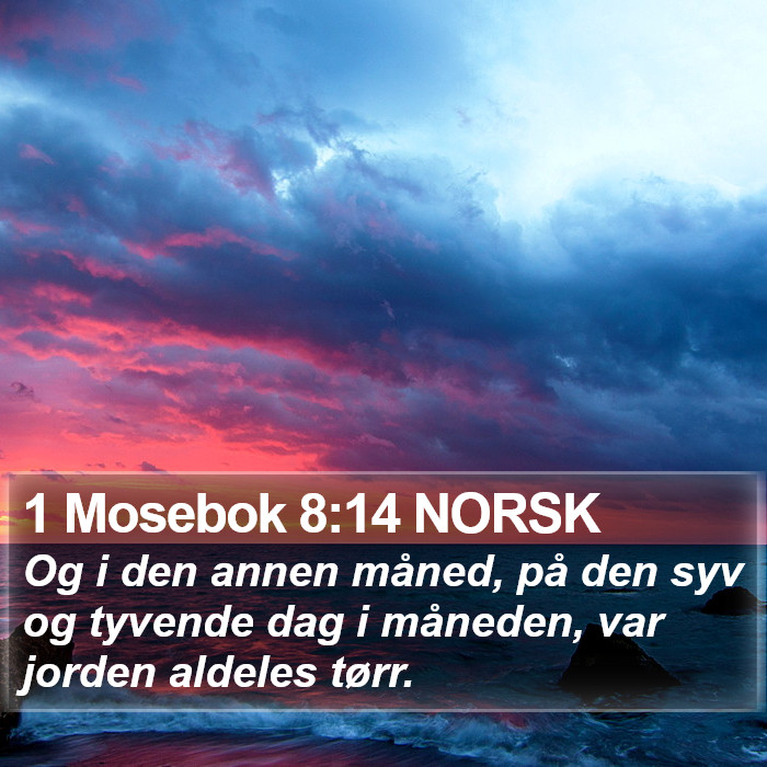 1 Mosebok 8:14 NORSK Bible Study