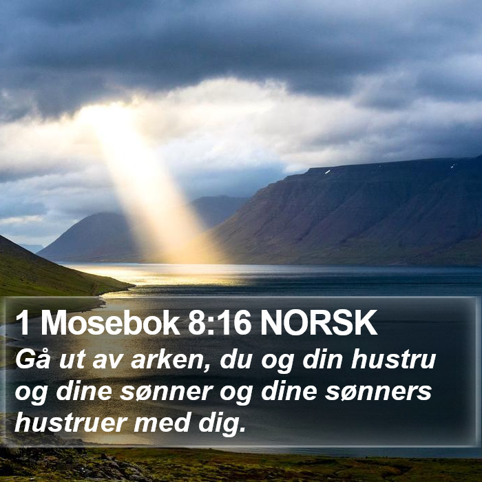 1 Mosebok 8:16 NORSK Bible Study