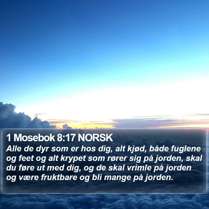 1 Mosebok 8:17 NORSK Bible Study