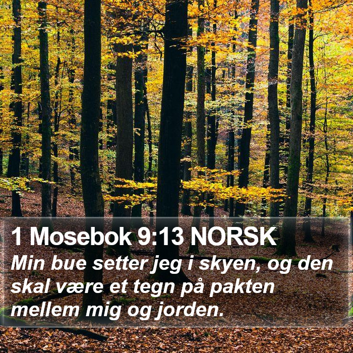 1 Mosebok 9:13 NORSK Bible Study