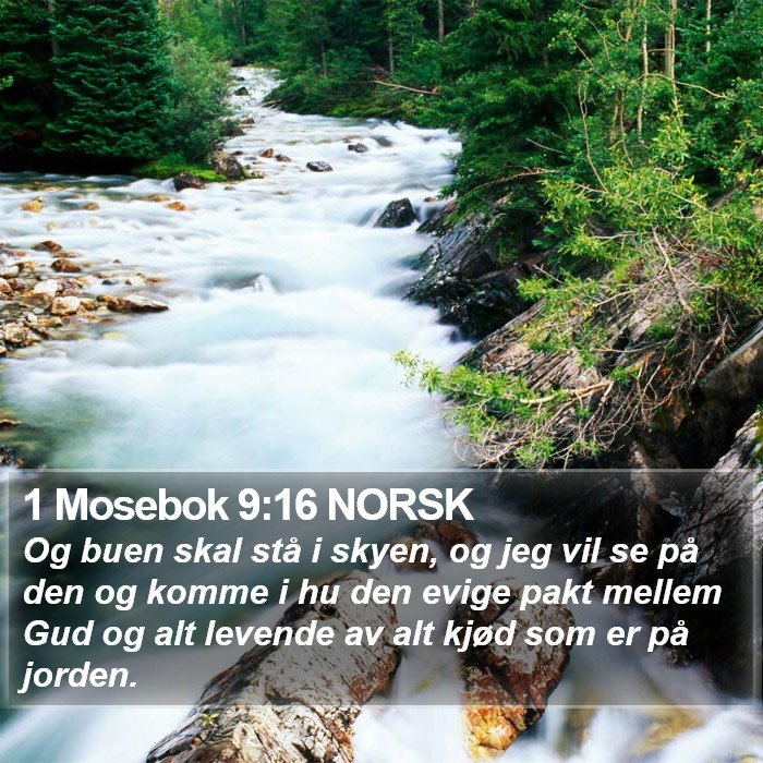 1 Mosebok 9:16 NORSK Bible Study