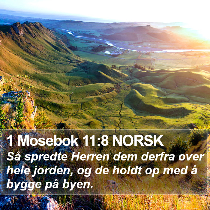 1 Mosebok 11:8 NORSK Bible Study