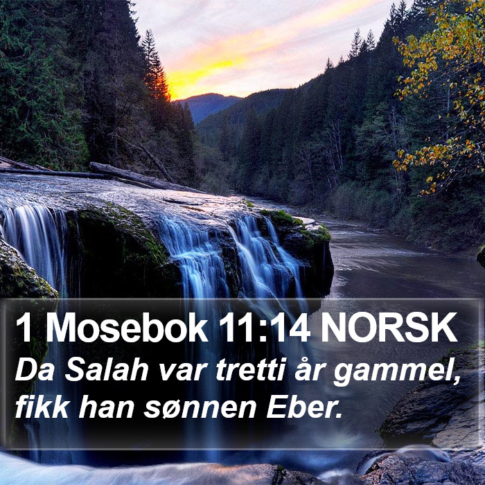 1 Mosebok 11:14 NORSK Bible Study