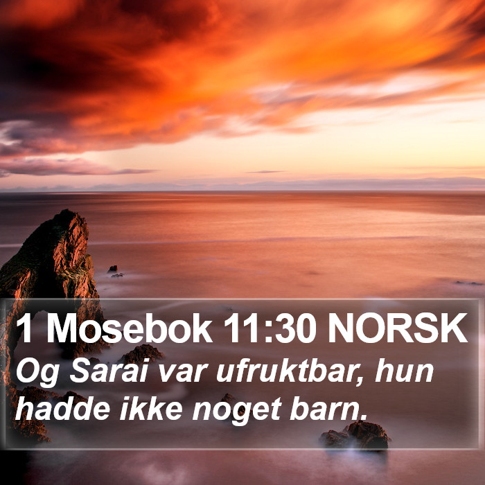 1 Mosebok 11:30 NORSK Bible Study