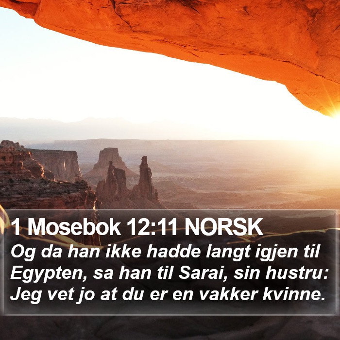 1 Mosebok 12:11 NORSK Bible Study