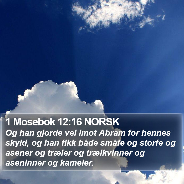 1 Mosebok 12:16 NORSK Bible Study