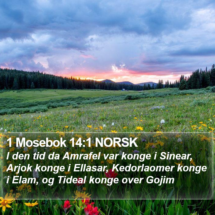 1 Mosebok 14:1 NORSK Bible Study