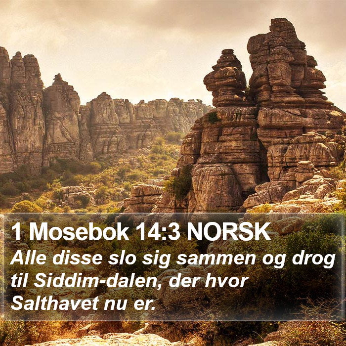 1 Mosebok 14:3 NORSK Bible Study