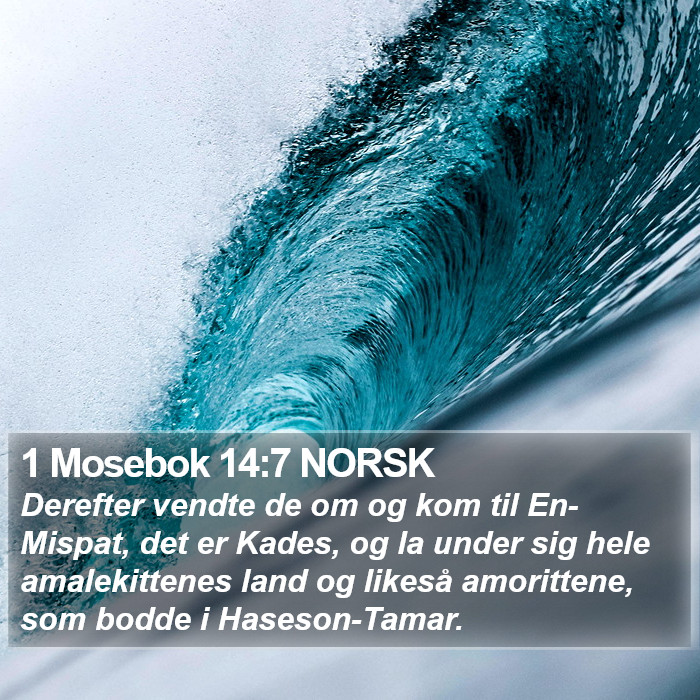 1 Mosebok 14:7 NORSK Bible Study