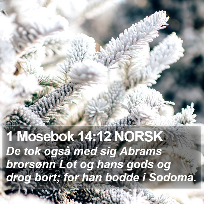 1 Mosebok 14:12 NORSK Bible Study