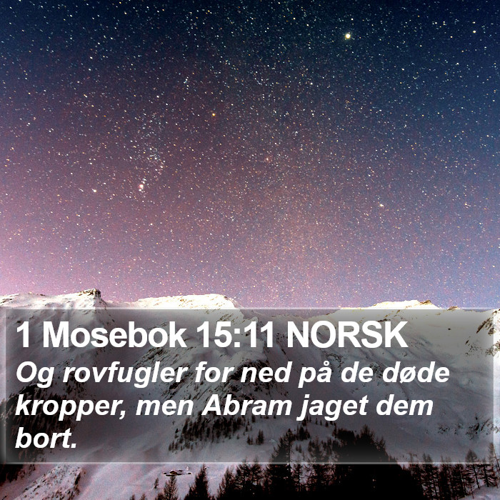 1 Mosebok 15:11 NORSK Bible Study