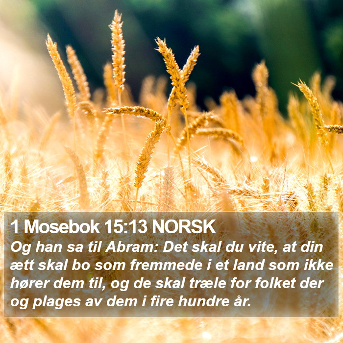 1 Mosebok 15:13 NORSK Bible Study