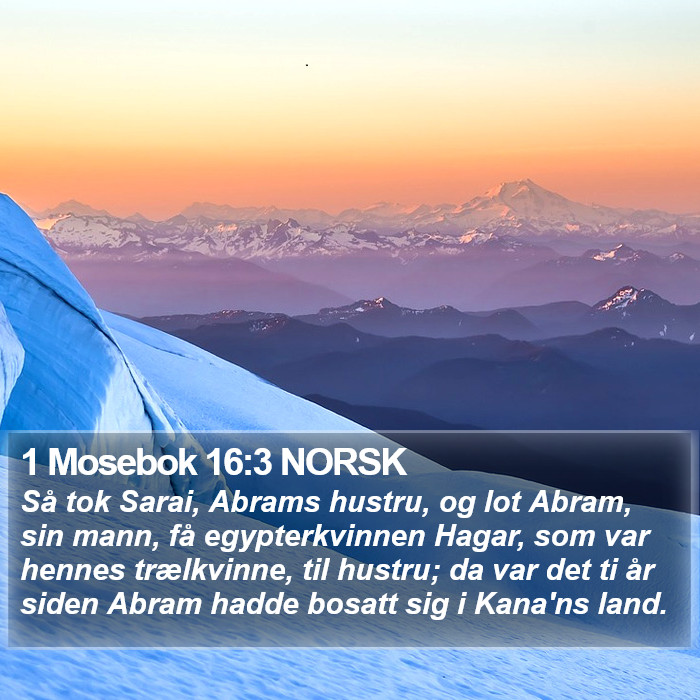 1 Mosebok 16:3 NORSK Bible Study